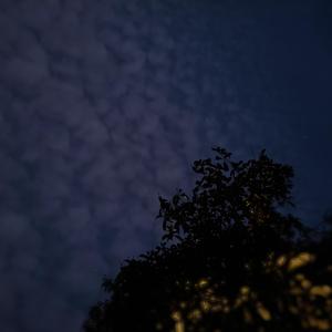 悲伤的天使(Prod.By Gunz4Hire)