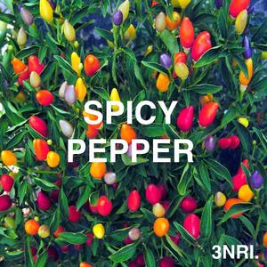 SPICY PEPPER