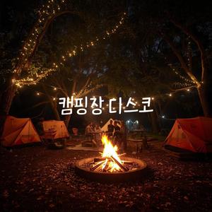 캠핑장 디스코