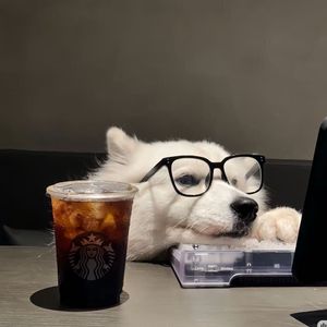 孤身