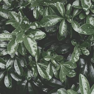 Apologies Miss Mirabella, I Didn't Mean to Cause Any Harm