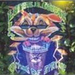 Wiccan Witch of the Wild West