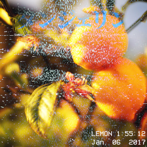 何故なぜだかその頃私は見すぼらしくて美しいものに強くひきつけられたのを覚えている。