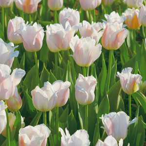 旅行的意义-备忘录