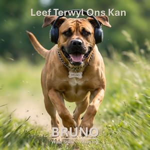 Leef Terwyl Ons Kan