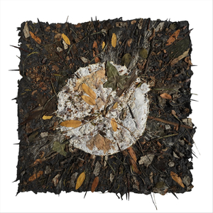 Hazel (feat. Lowercase Noises)