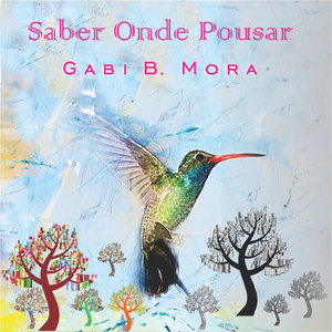 Saber Onde Pousar