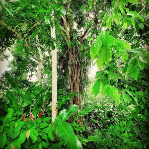 Realer (feat. Porchy) (CHEF UKG RMX)