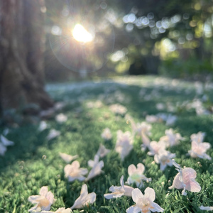 被你牵着的手不可能的画面