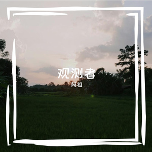 观测者