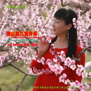 满山花儿笑开怀 舞曲