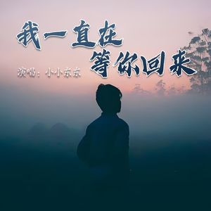 我一直在等你回来