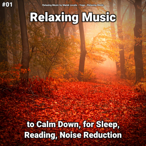 Relaxing Music Pt. 1