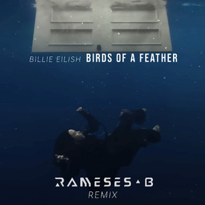 BIRDS OF A FEATHER (Rameses B Remix)