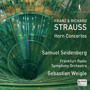 Horn Concerto in C Minor, Op. 8: I. Allegro moderato