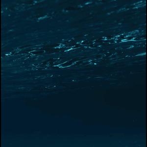 Submergence