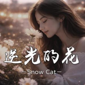逆光的花