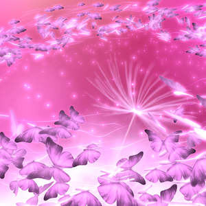 Butterfly（蝴蝶）