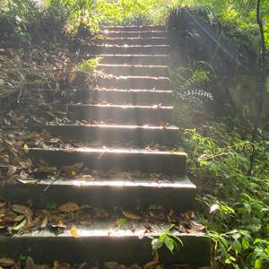 性空山cover陈粒（和珠珠）