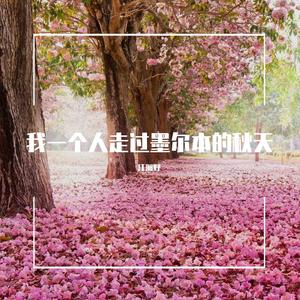 我一个人走过墨尔本的秋天