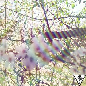 Місячний Промінь