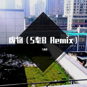 HZQZ-废物（S耄B remix）