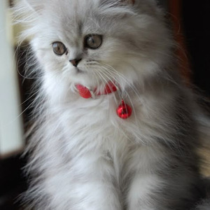 Every Second (slowed)