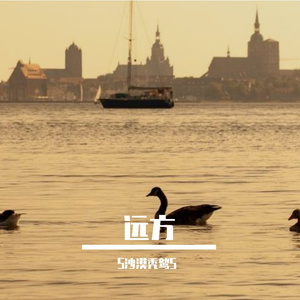 此花此叶常相映