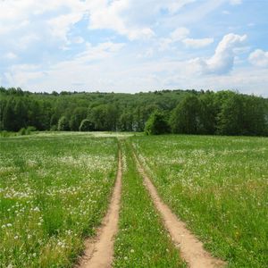 留给春天的一封信（纯音乐）