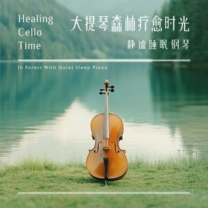 流星群 (森林流水)