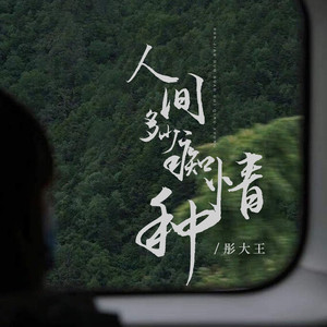 人间多少痴情种 (DJ版伴奏)