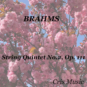 String Quintet No.2, Op. 111: 1. Allegro non troppo, ma con brio