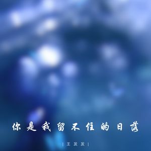 你是我留不住的日落