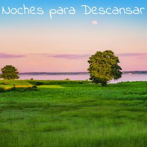 Acompañado y Relajado