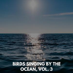 Claiming Peace From Ocean Waves