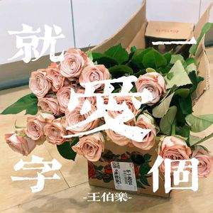 爱就一个字（翻自 中国新声代）