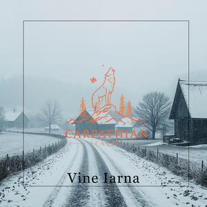 Vine Iarna