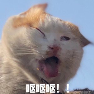 《无聊到相思》