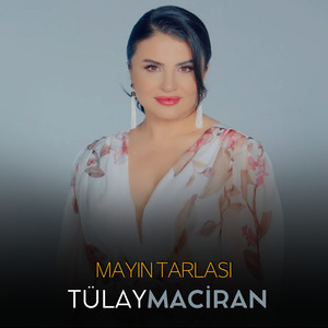 Mayın Tarlası