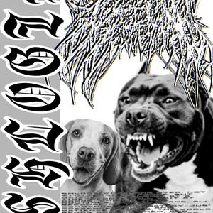 SHLAWGIN (REMASTERED)