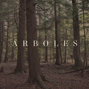 Árboles