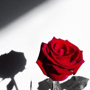 想想-说散就散_（翻唱）