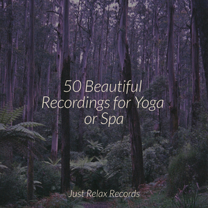 Silent Lull of Faerie Glen