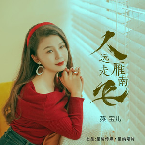 人远走雁南飞 (DJ光波版)