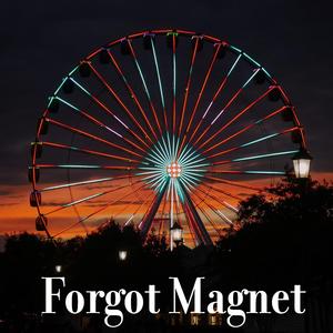 Forgot Magnet