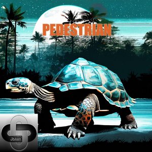 Pedestrian