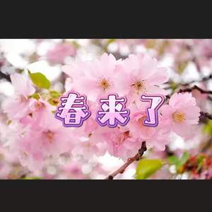 春来了（Spring is coming)
