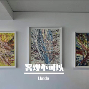 徐良-客观不可以（Lkeda remix）