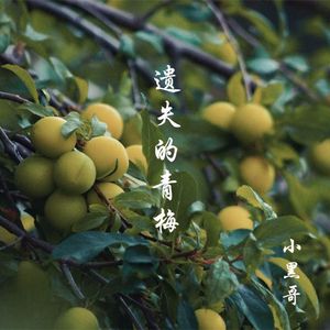 遗失的青梅