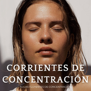 Enfoque Cognitivo En La Corriente